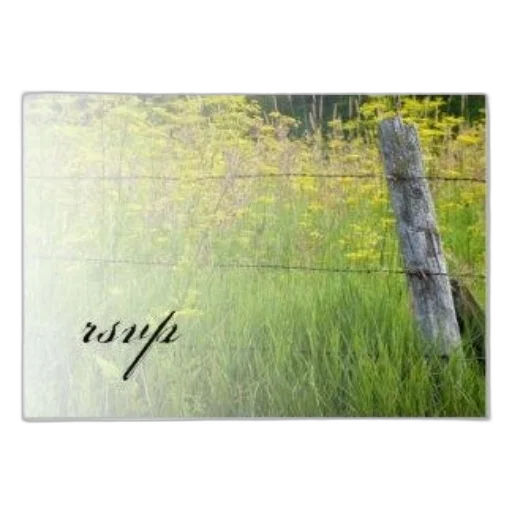 tree, photorealistic, forest, rustic transparent PNG cut-out