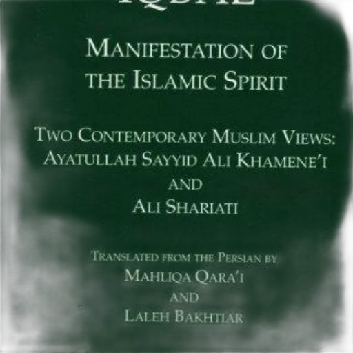 cover, book, titled, manifestation transparent PNG cut-out