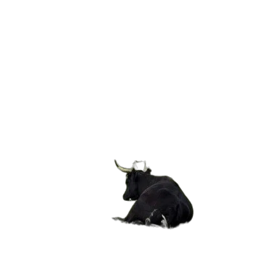 animal, staff, creature, hat transparent PNG cut-out
