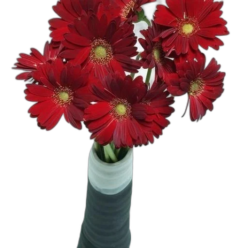 flower, crown, staff, weapon transparent PNG cut-out
