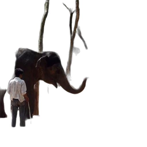 animal, staff, creature, 3d render transparent PNG cut-out