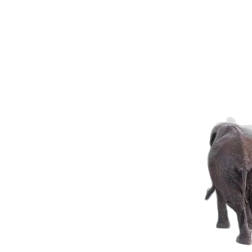 animal, creature, staff, photorealistic transparent PNG cut-out