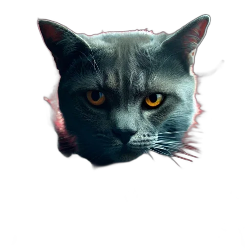 animal, face, mask, creature transparent PNG cut-out