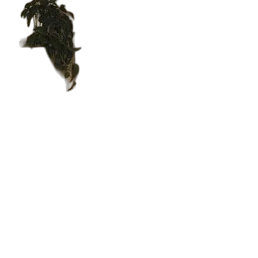 dragon, animal, hair, staff transparent PNG cut-out