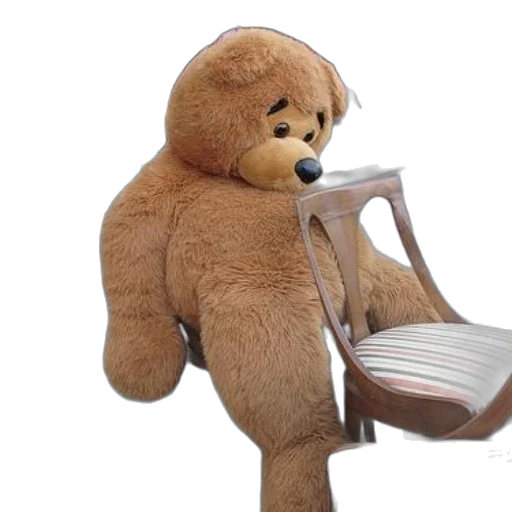 furniture, staff, creature, animal transparent PNG cut-out