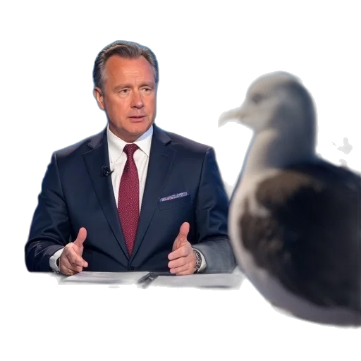 animal, newscast, cnn, anchor transparent PNG cut-out