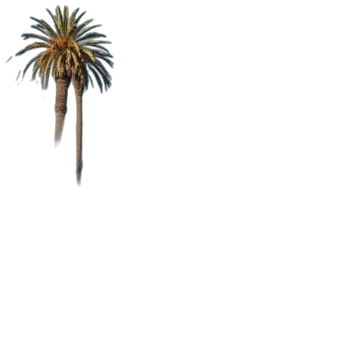 tree, hair, weapon, staff transparent PNG cut-out