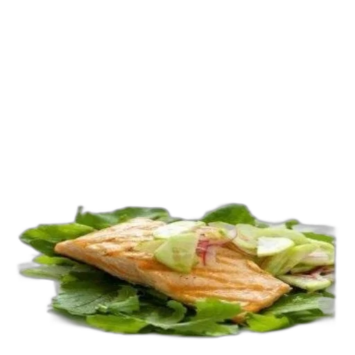 food, jacket, animal, weapon transparent PNG cut-out