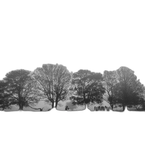 tree, crown, car, dress transparent PNG cut-out