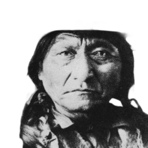 face, mask, hat, animal transparent PNG cut-out