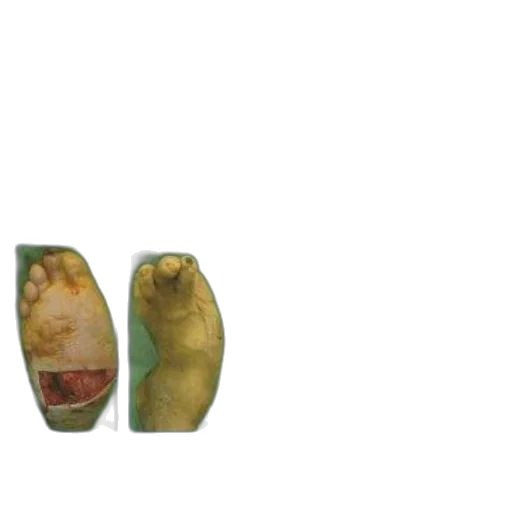 shoes, food, creature, animal transparent PNG cut-out