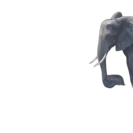animal, creature, umbrella, concept art transparent PNG cut-out