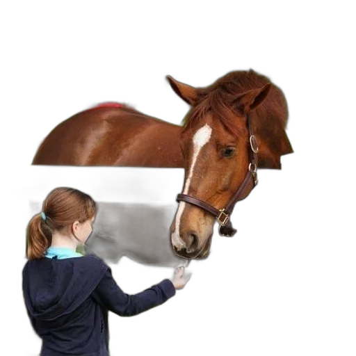 animal, hat, staff, weapon transparent PNG cut-out