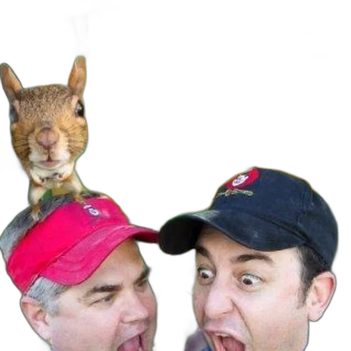 hat, animal, staff, creature transparent PNG cut-out