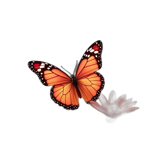 animal, flower, creature, jewelry transparent PNG cut-out