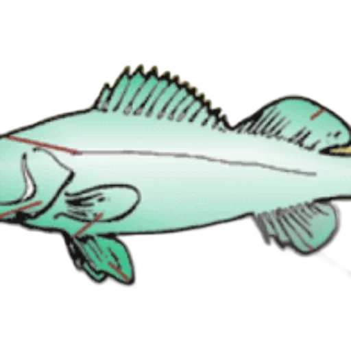 staff, animal, creature, concept art transparent PNG cut-out