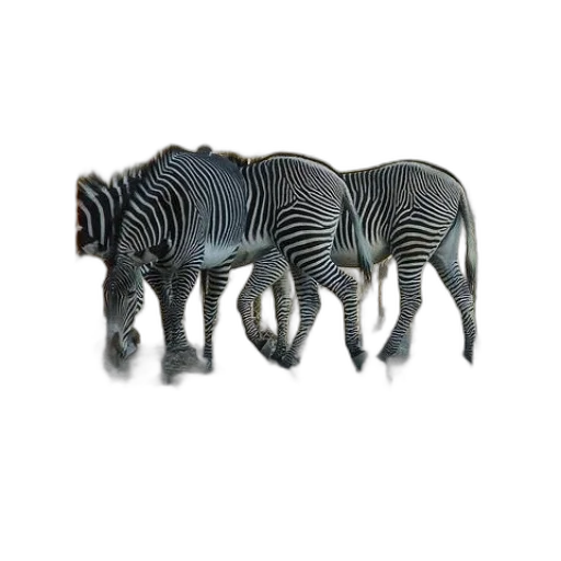 animal, creature, furniture, jewelry transparent PNG cut-out