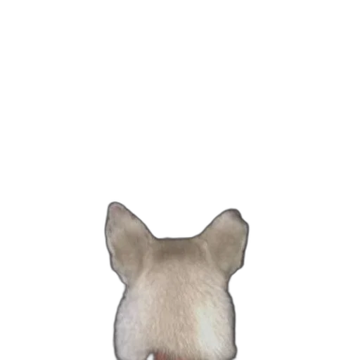 animal, face, mask, staff transparent PNG cut-out
