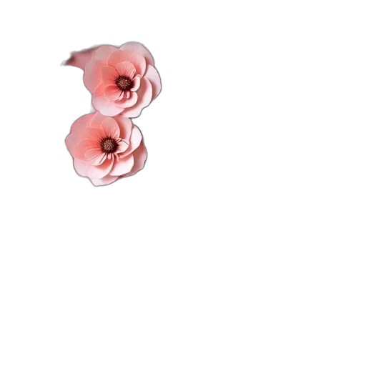 flower, hair, crown, creature transparent PNG cut-out