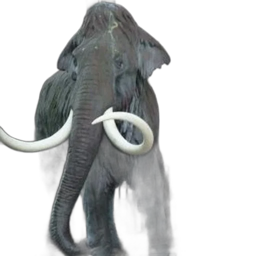 creature, animal, 3d render, concept art transparent PNG cut-out