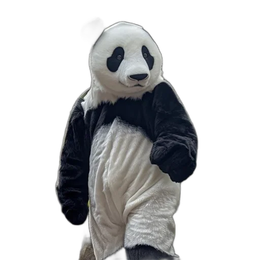 animal, creature, jacket, staff transparent PNG cut-out