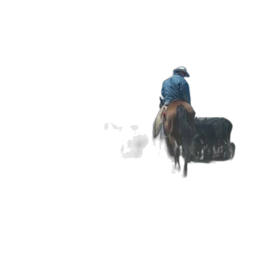 animal, hat, creature, robot transparent PNG cut-out