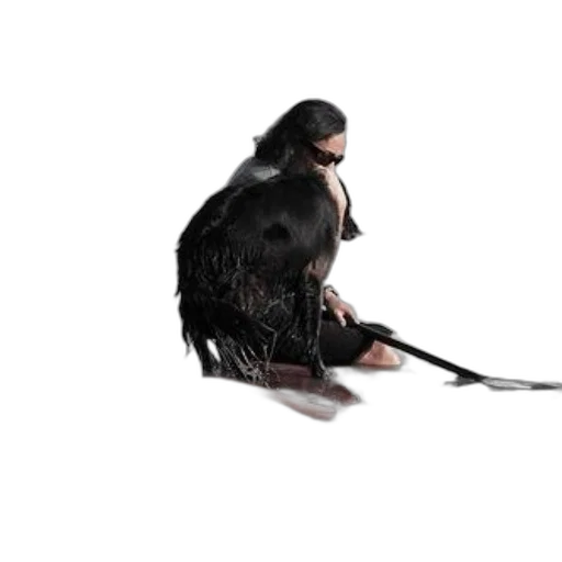 animal, staff, sword, hair transparent PNG cut-out