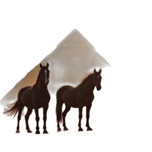 animal, hat, crown, jewelry transparent PNG cut-out