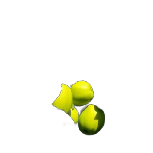 weapon, flower, food, bottle transparent PNG cut-out