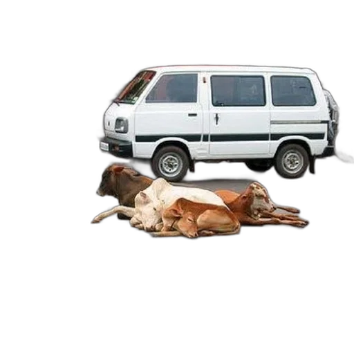 car, animal, furniture, staff transparent PNG cut-out