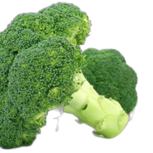 food, green, detailed, image transparent PNG cut-out