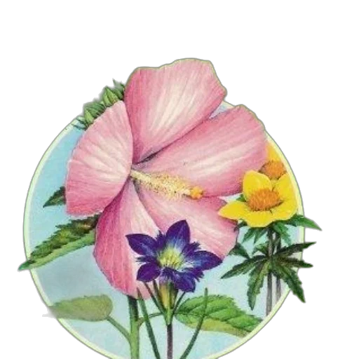 flower, jewelry, crown, umbrella transparent PNG cut-out