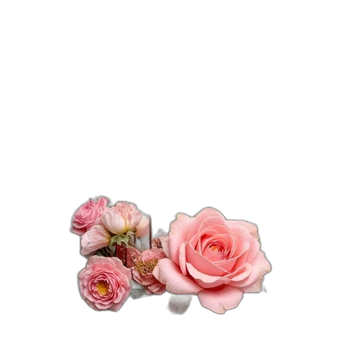 flower, jewelry, crown, hat transparent PNG cut-out