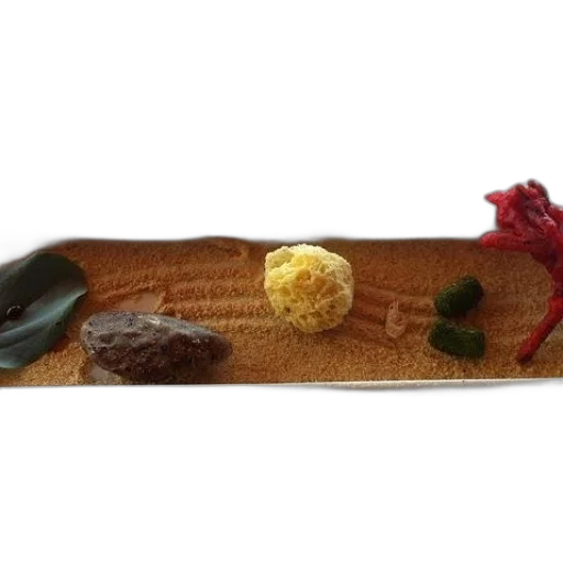 food, staff, dish, sand transparent PNG cut-out