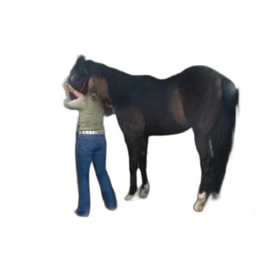animal, creature, staff, 3d render transparent PNG cut-out