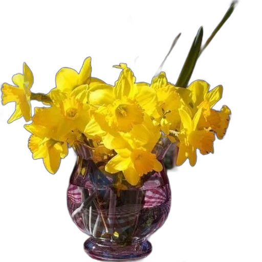 flower, crown, jewelry, bottle transparent PNG cut-out