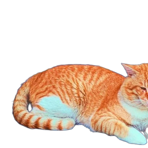 animal, creature, staff, weapon transparent PNG cut-out