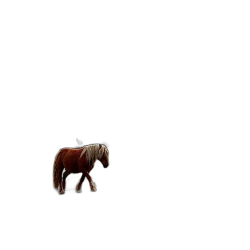 animal, creature, furniture, hair transparent PNG cut-out