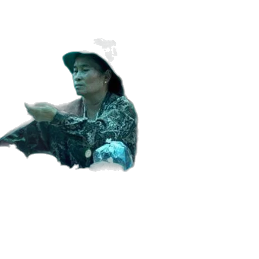 hat, dragon, animal, jacket transparent PNG cut-out