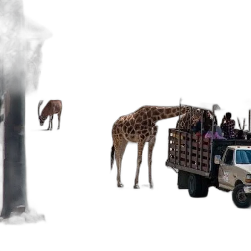 animal, car, creature, weapon transparent PNG cut-out