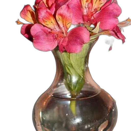 flower, crown, bottle, jewelry transparent PNG cut-out