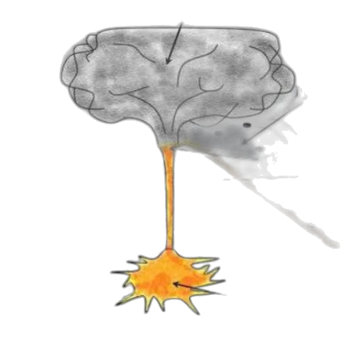 crown, umbrella, hat, weapon transparent PNG cut-out