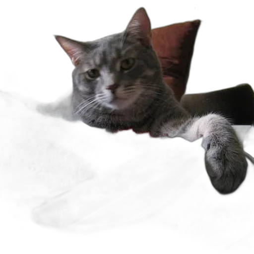 animal, creature, staff, furniture transparent PNG cut-out