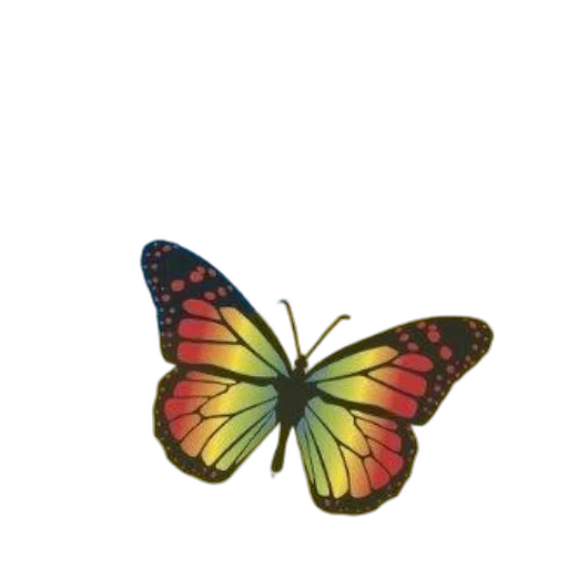 animal, creature, flower, jewelry transparent PNG cut-out