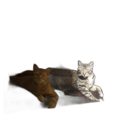 animal, creature, weapon, staff transparent PNG cut-out
