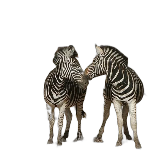 animal, furniture, 3d render, photorealistic transparent PNG cut-out