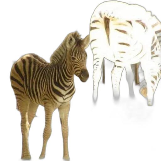 animal, jewelry, creature, 3d render transparent PNG cut-out