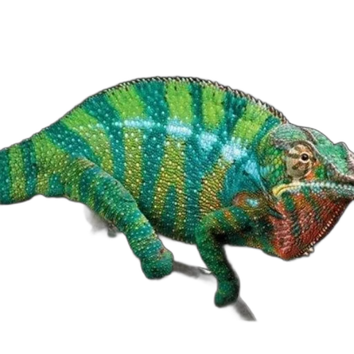 dragon, animal, creature, staff transparent PNG cut-out