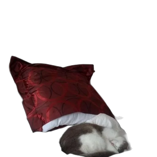 furniture, hat, animal, mask transparent PNG cut-out