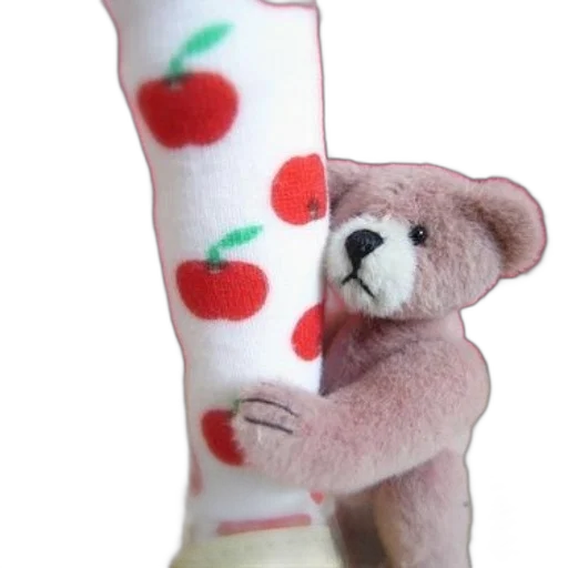 shoes, cute, teddy, bear transparent PNG cut-out
